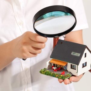 Inspect for Pests-Realtor Harvinder- Harvinder Balu - real estate