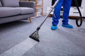 Deep Clean Your Carpets and Rugs-2025 - April - Monthly Maintenance Harv Balu - HarvRealtor